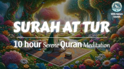 Beautiful Calming Quran Recitation Surah At Tur Fatiha For Sleep And