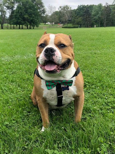 Shipping and Packaging Solutions in Indian Head Park Illinois