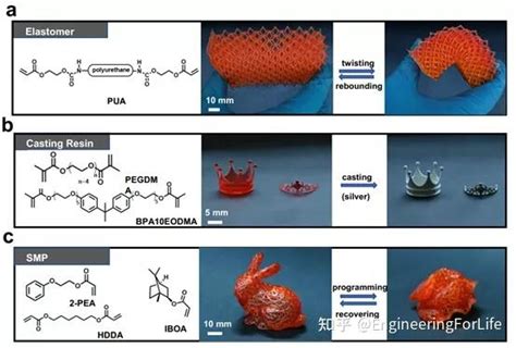 Nature Communications：浙大赵骞宋吉舟：利用水凝胶分离界面实现光固化快速打印 知乎