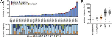 Landscape Of Somatic Alterations In The Psh Genomes A The Numbers Of