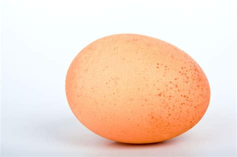 Egg Free Stock Photo - Public Domain Pictures