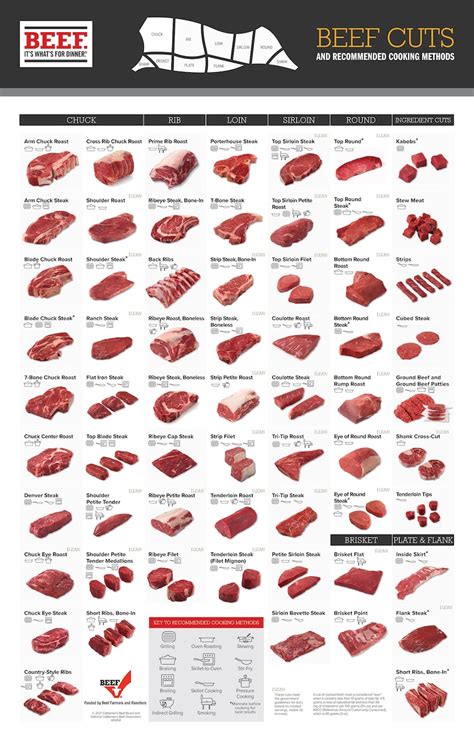 Beginner S Guide To Beef Cuts Beef Retail Cuts Chart Wall Decor