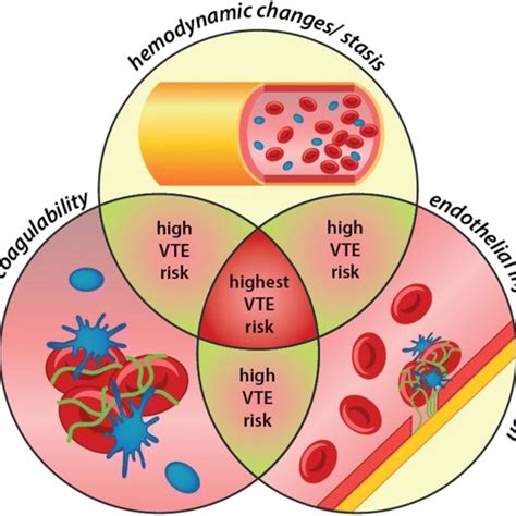 PDF Impact Of Drugs On Venous Thromboembolism Risk In Surgical Patients