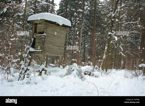 Hunting Seat In Winter Stock Photo Alamy