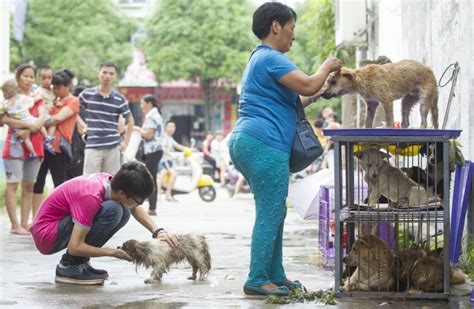 Pictures From Yulin Dog Meat Festival Show Heartbreaking Cruelty of Event