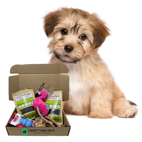 Happy Pet Box - Puppy Subscription - Monthly Pet Box | Dogs & Puppies ...