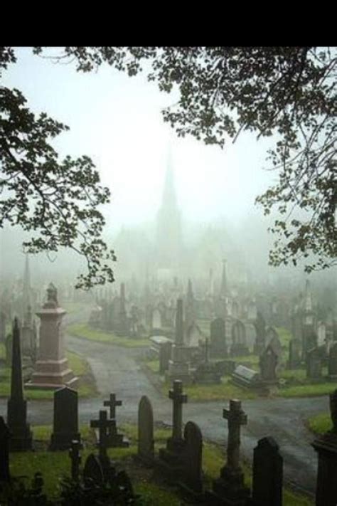 Gorgeous Peaceful Cemetery Old Cemeteries Graveyard Cemetary