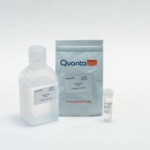 Kit De Teste Para Extra O De Dna Extracta Plus Quantabio Para