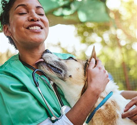 practices  radiographing exotic pets veterinary practice news