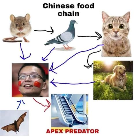 The Apex Predator Rmemes