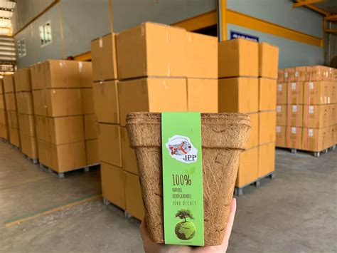 Biodegradable Plant Set Biodegradable And Compostable Pots
