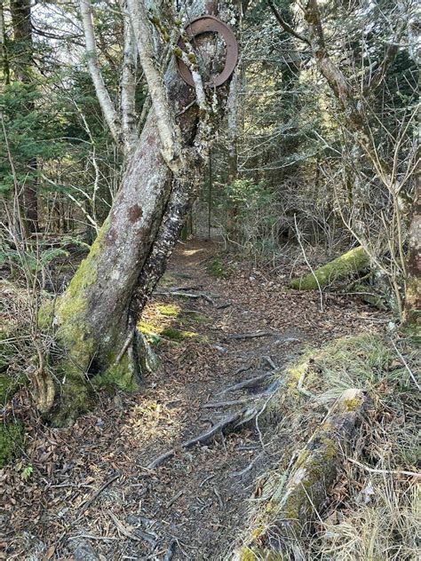 Blackrock Mountain Trail - North Carolina | AllTrails