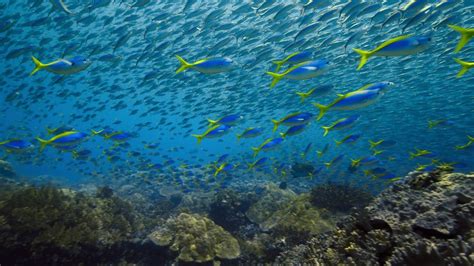 Photo Du Film Notre Plan Te A Ses Limites L Alerte De La Science