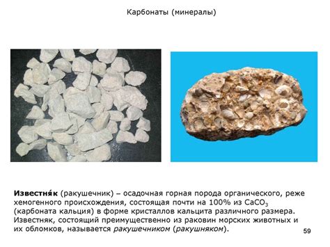 Карбонатом Кальция Называется – Telegraph