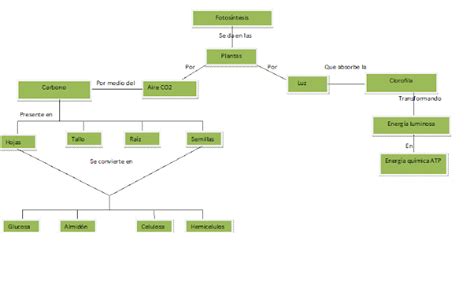 Cuaderno de Biología 3 Monsserrat Martínez: Mapa conceptual de la ...