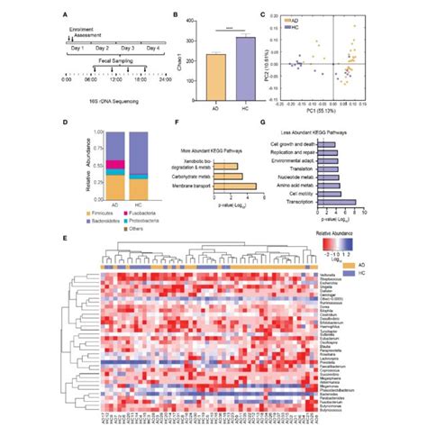 Alterations Of The Gut Microbiota In AD Patients A Schematic Diagram