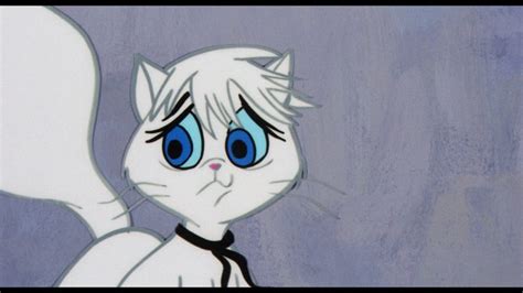 Gay Purr Ee Warner Archive Blu Ray Review Andersonvision