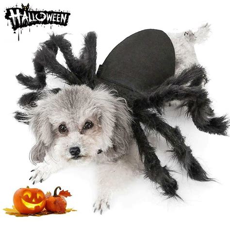 funny dog costumes iheartdogscom