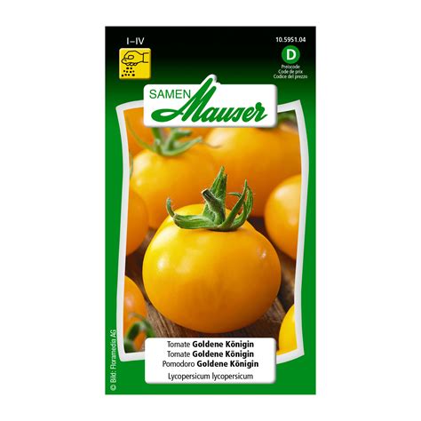 Tomate Goldene K Nigin Gem Sesamen Zulauf Gartencenter