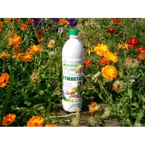 Удобрение Гумистар: инструкция по применению и назначение подкормки ...