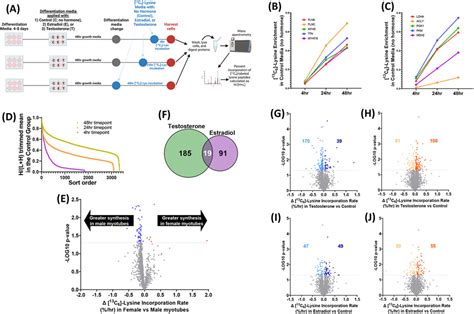 Impact Of Biological Sex And Sex Hormones On Molecular Signatures Of