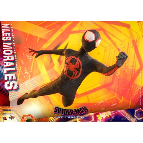 Hot Toys Miles Morales Spider Man Across The Spider Verse Part One