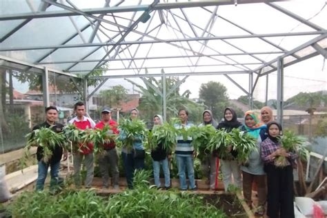 Jaga Ketahanan Pangan Pemkot Semarang Dorong Pemanfaatan Lahan Tidur