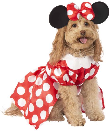 XXL & XXXL Dog Costumes - Pet Costume Center