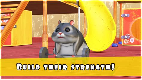 Hamster Ball 3d Multiplayer Apk For Android Download