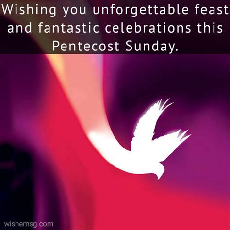 200happy Pentecost Wishes And Greetings And Quotes Wishemsgcom