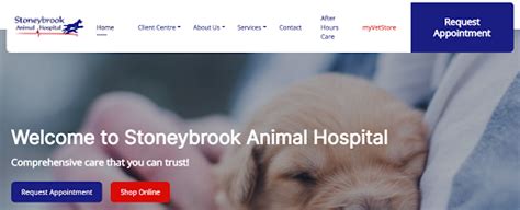The 3 Best Vet Clinics In London On 2025