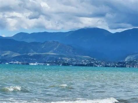 Top 4 Things To Do In Moturoa Rabbit Island Nelson