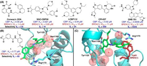 A List Of Current NM Inhibitors Of The CBP Bromodomain 44 5658 60