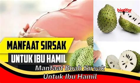 Temukan Manfaat Buah Sirsak Untuk Ibu Hamil Yang Perlu Diketahui Biotifor