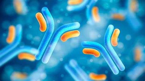 Платформ - ErdeMED