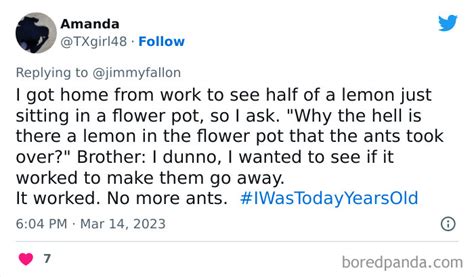 Jimmy Fallon Asks Fans To Tweet An Obvious Fact That Boggled Their Mind ...