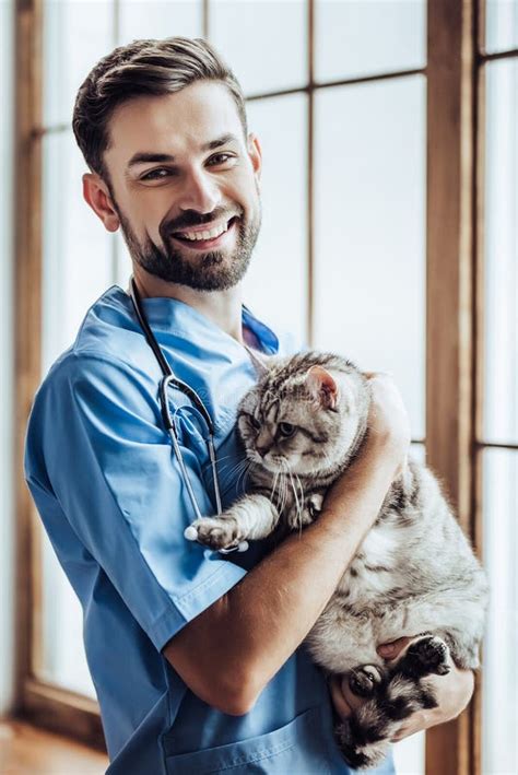 Doctor Veterinarian At Clinic Stock Photo Image Of Hands Healthcare