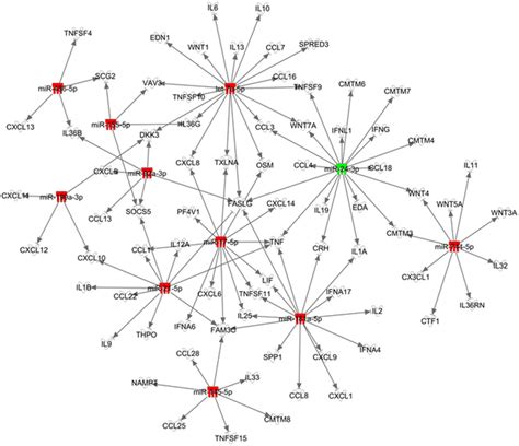 Association Between Microvesicle Mv Micrornas Mirnas And Mrna