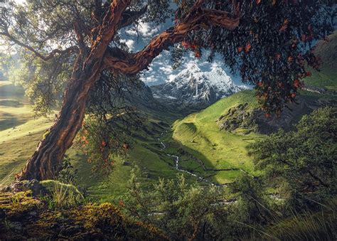 Peruvian Summer Photograph By Max Rive Fine Art America