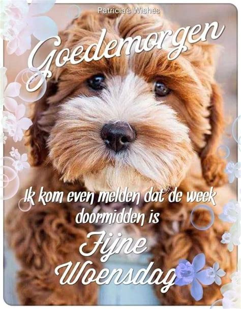 Wednesday Good Morning Teddy Bear Hugs Quotes Nice Doodle Text