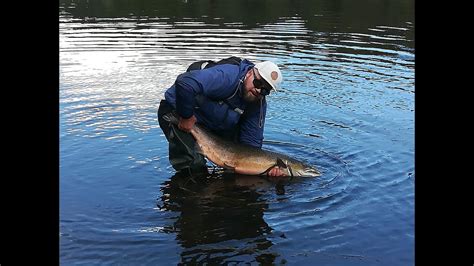 Pirmoji gyvenimo LAŠIŠA 109cm patinas Neris SALMON YouTube