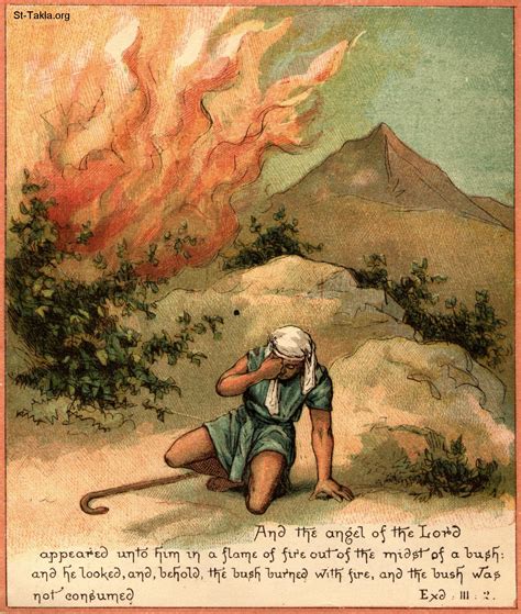 Image The Burning Bush
