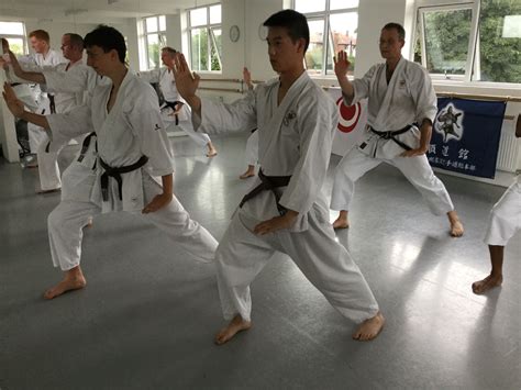 What Is Goju Ryu Karate Goju Ryu Karate Goju Ryu Shotokan Karate Kata