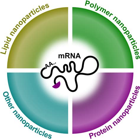 Nanoscale Platforms For Messenger Rna Delivery Li Wires