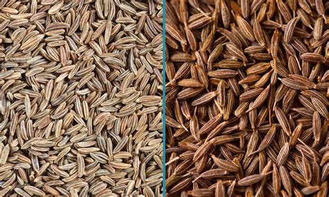 caraway seeds  cumin whats  difference lets foodie