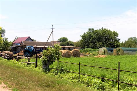 Посёлок Лиманский - светлая жемчужина в сердце Кубани | Южная жизнь | Дзен