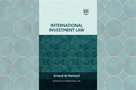 international investment law principles  international law series