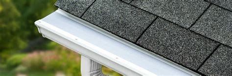 Find Out If Leafguard Gutters Can Really Filter Pine Needles
