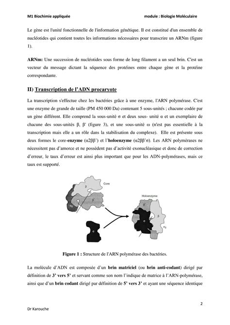 SOLUTION Biologie Mol Culaire Chapitre 1 T Procaryote M1 Studypool