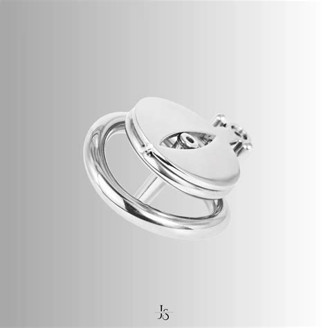 Flat Pussy Chastity Cage Feminine In A Clean Steel Design